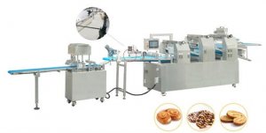 Double Danish Whirls Production Line